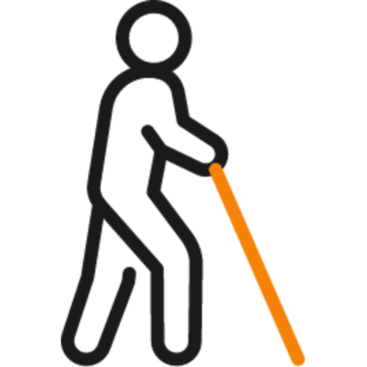 WALKING STICKS